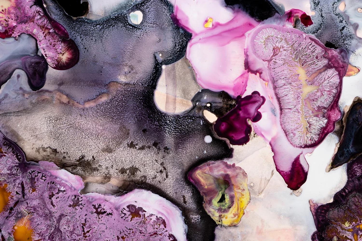 Siphon, detail 2018 ink and acrylic on synthetic paper 25 by 25 inches