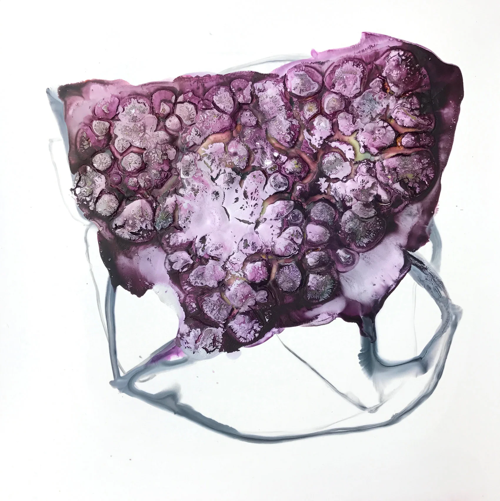 Peculiar Arrangements 31 2018 ink and acrylic on synthetic paper 10 by 10 inches