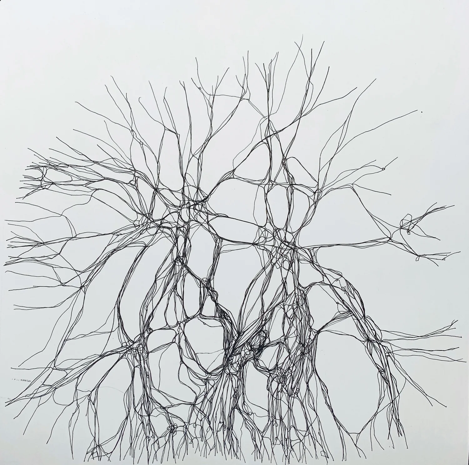 Synapses 2018 ink on paper 11 by 11 inches