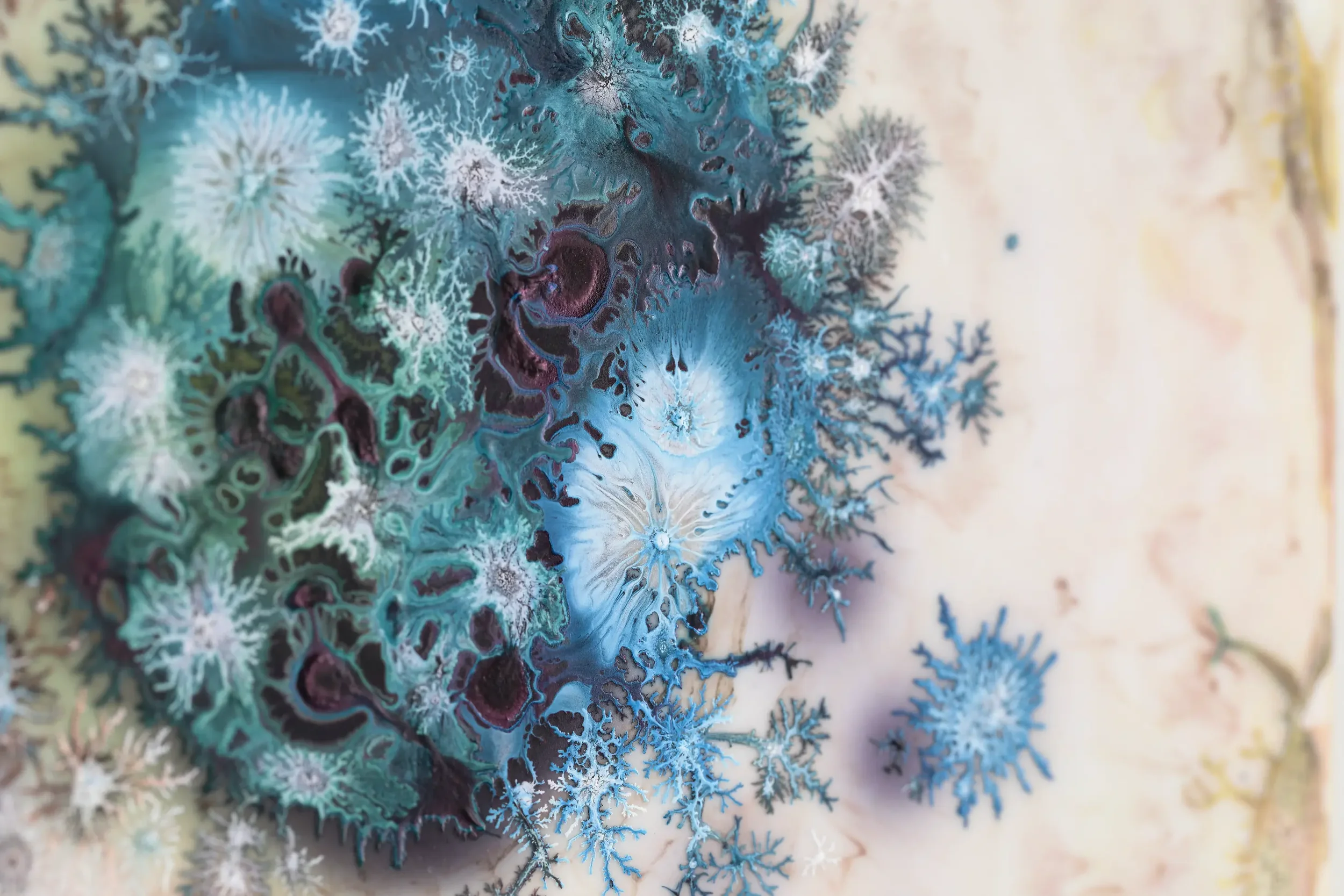 Minor_ Mutations_1_detail2.webp