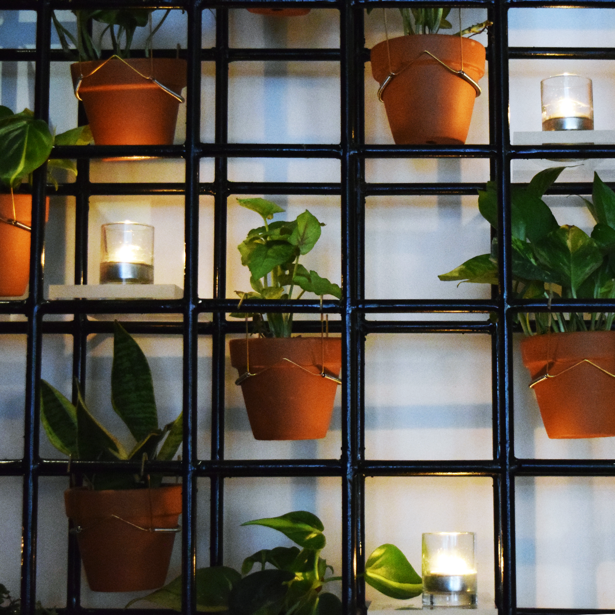 A unique wallscape adds light, and greenery, and helps bring you to a place of Chef Franco Barrio's creating.