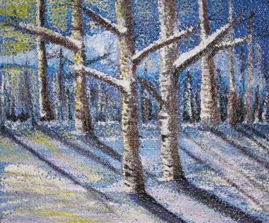 Birch Stand Bob Grove.JPG