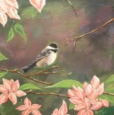 Bird in Flower Bruce Tizzard.JPG