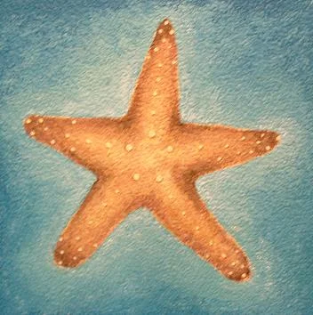 Starfish Tanya Groundwater.JPG