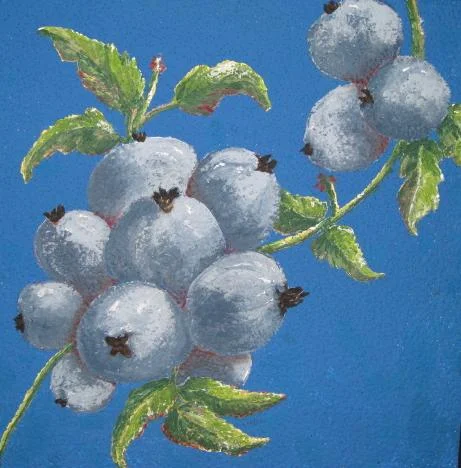 Untitles Rena Waters.JPG