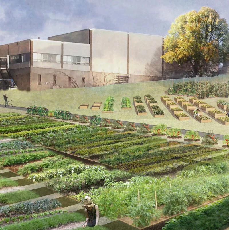 Back to Our Roots Urban Farm Launches May 30th