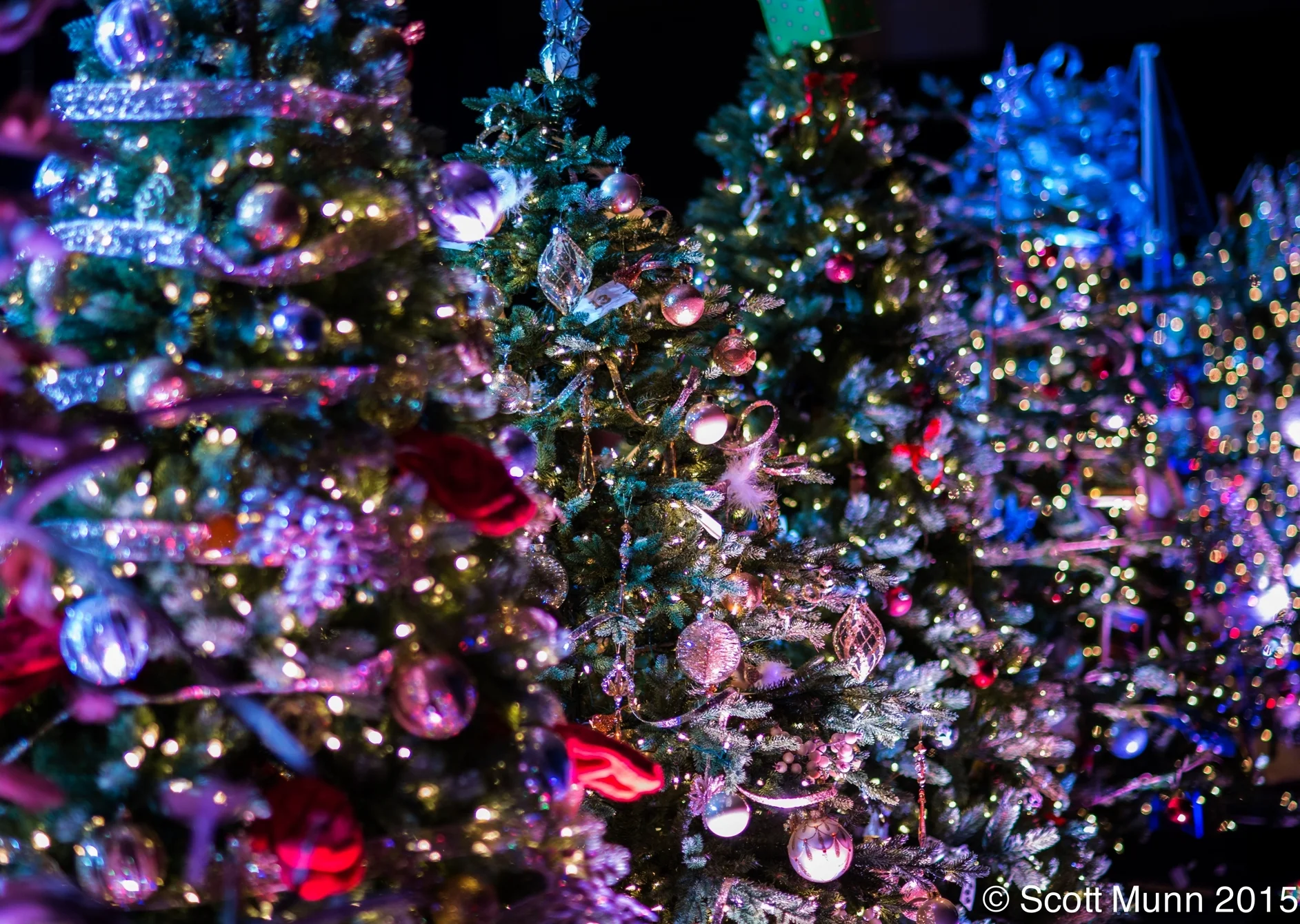 The power of Believing – Mental Health Foundation of Nova Scotia celebrates success of 24th annual Compass Group Canada Festival of Trees