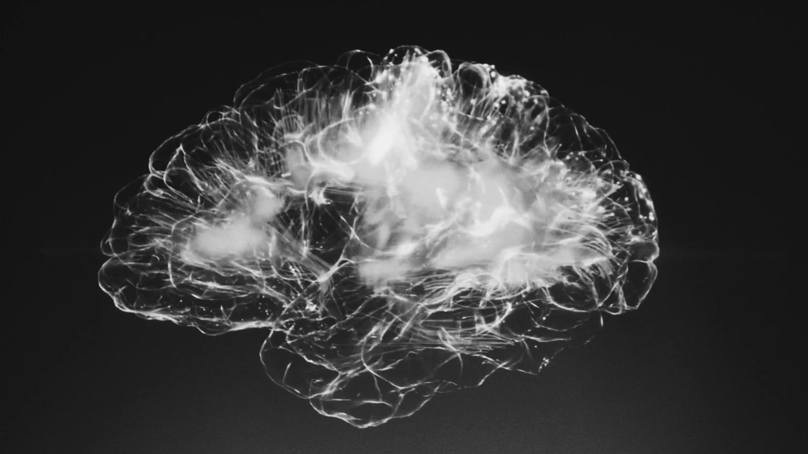unsplash-image-tEVGmMaPFXk.jpg