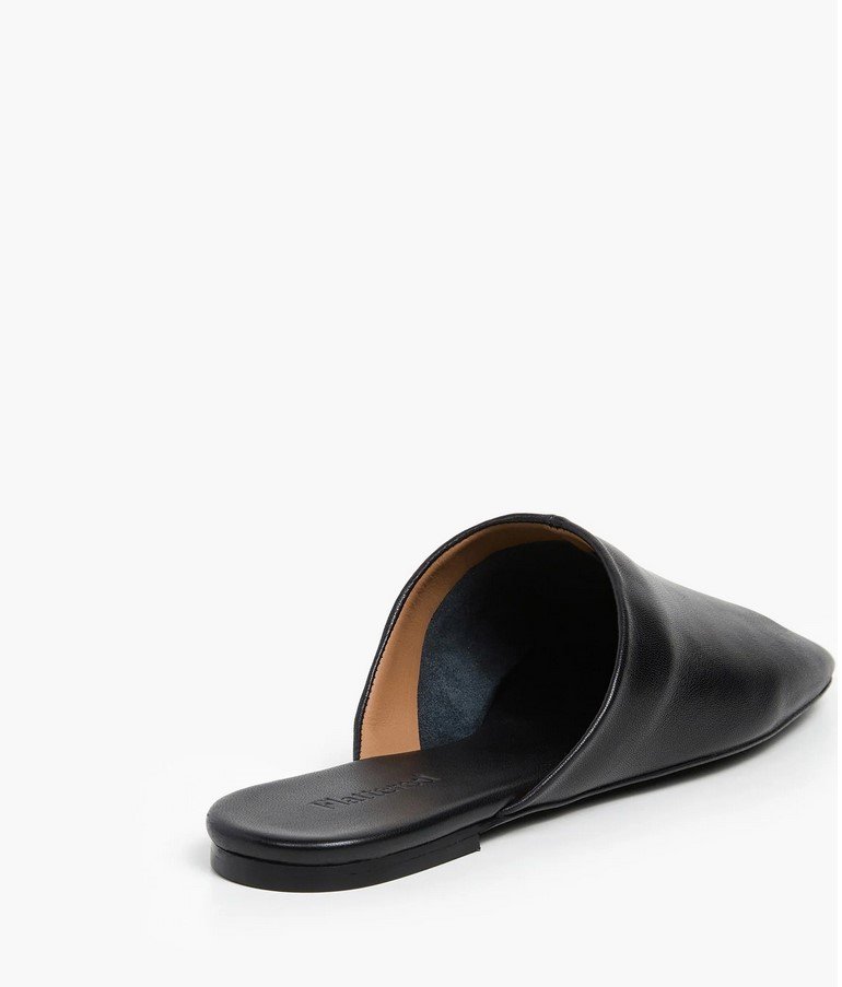 Capture d’écran 2026-01-28 153647.jpg