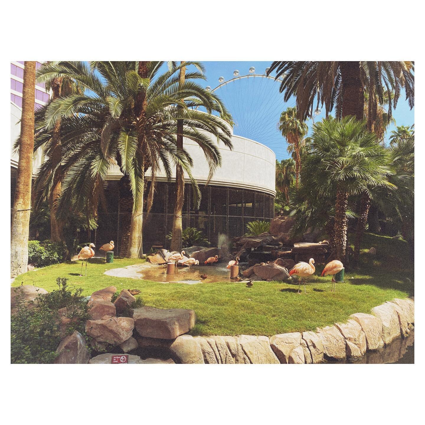 #vegas