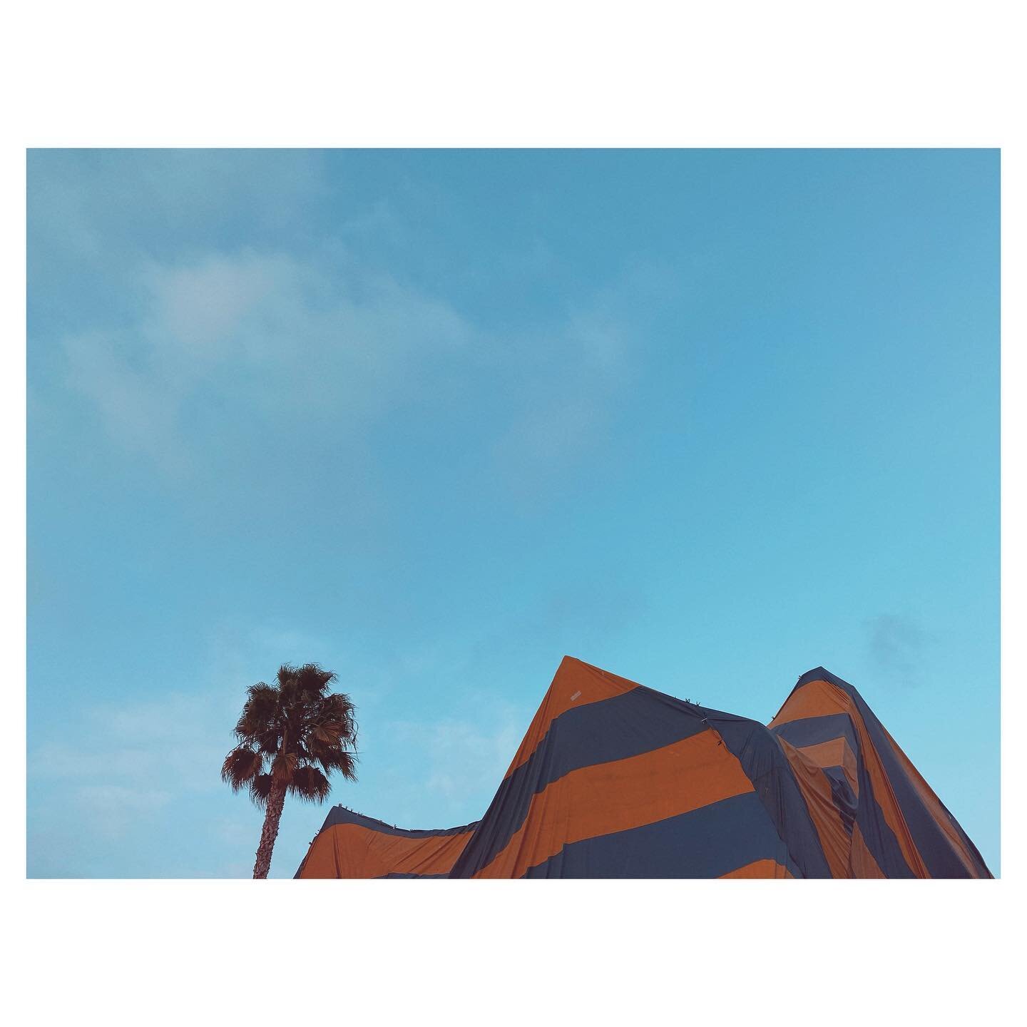 Looks like the circus is in town&hellip; 🎪🪳