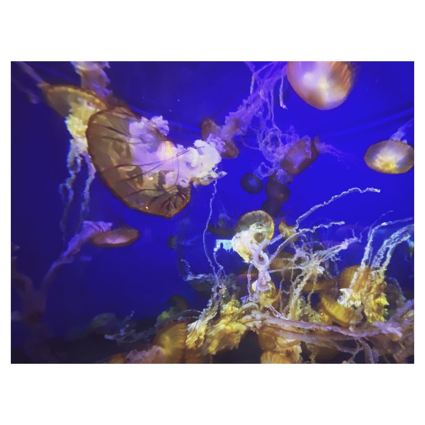Aquarium + proof of life