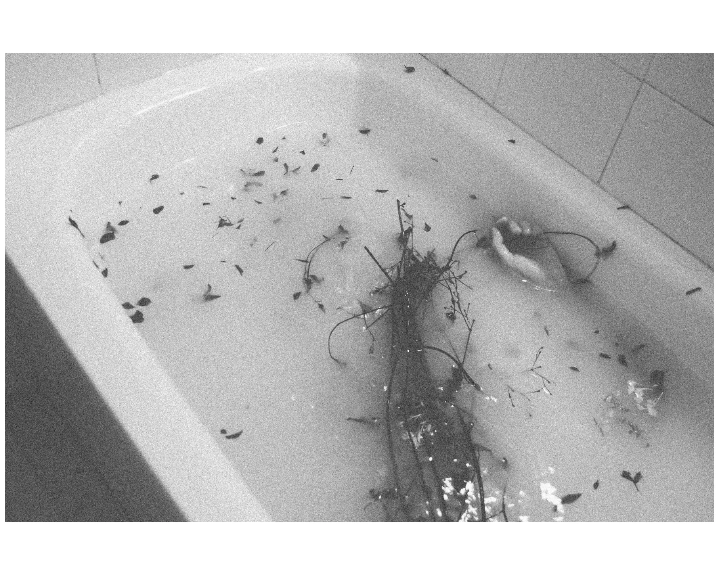   35mm film  