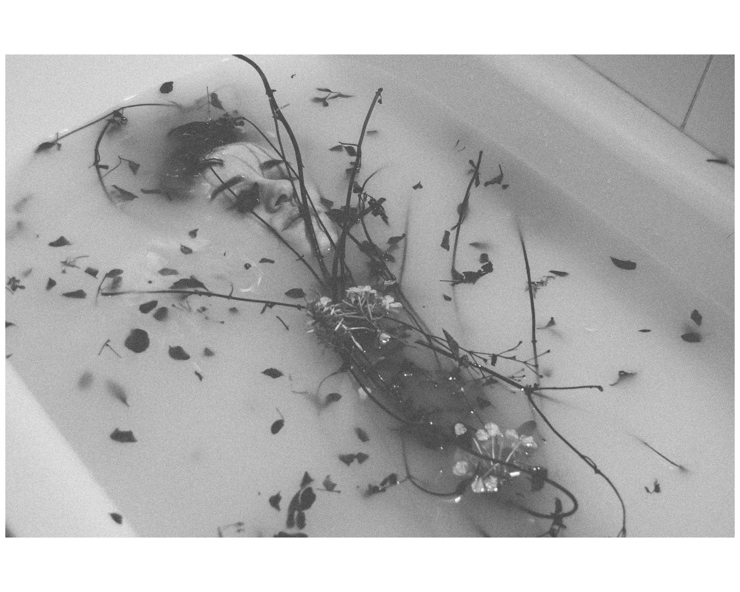   35mm film  
