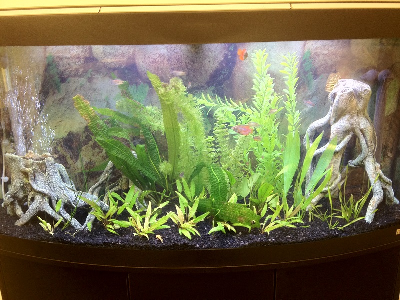 TankPhoto-048 (1).JPG