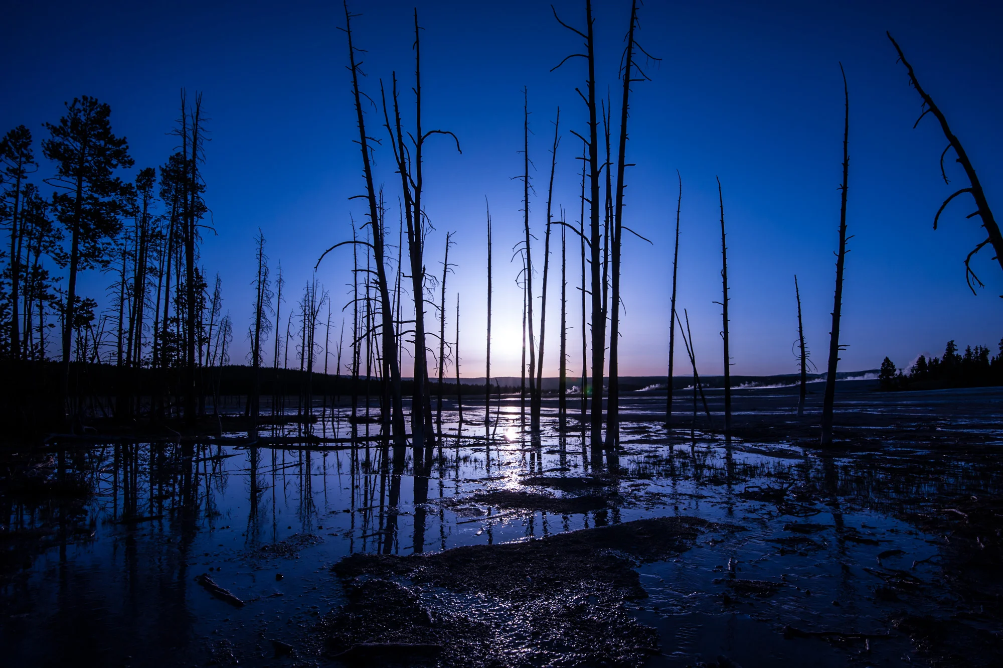 USA_Roadtrip-50.jpg