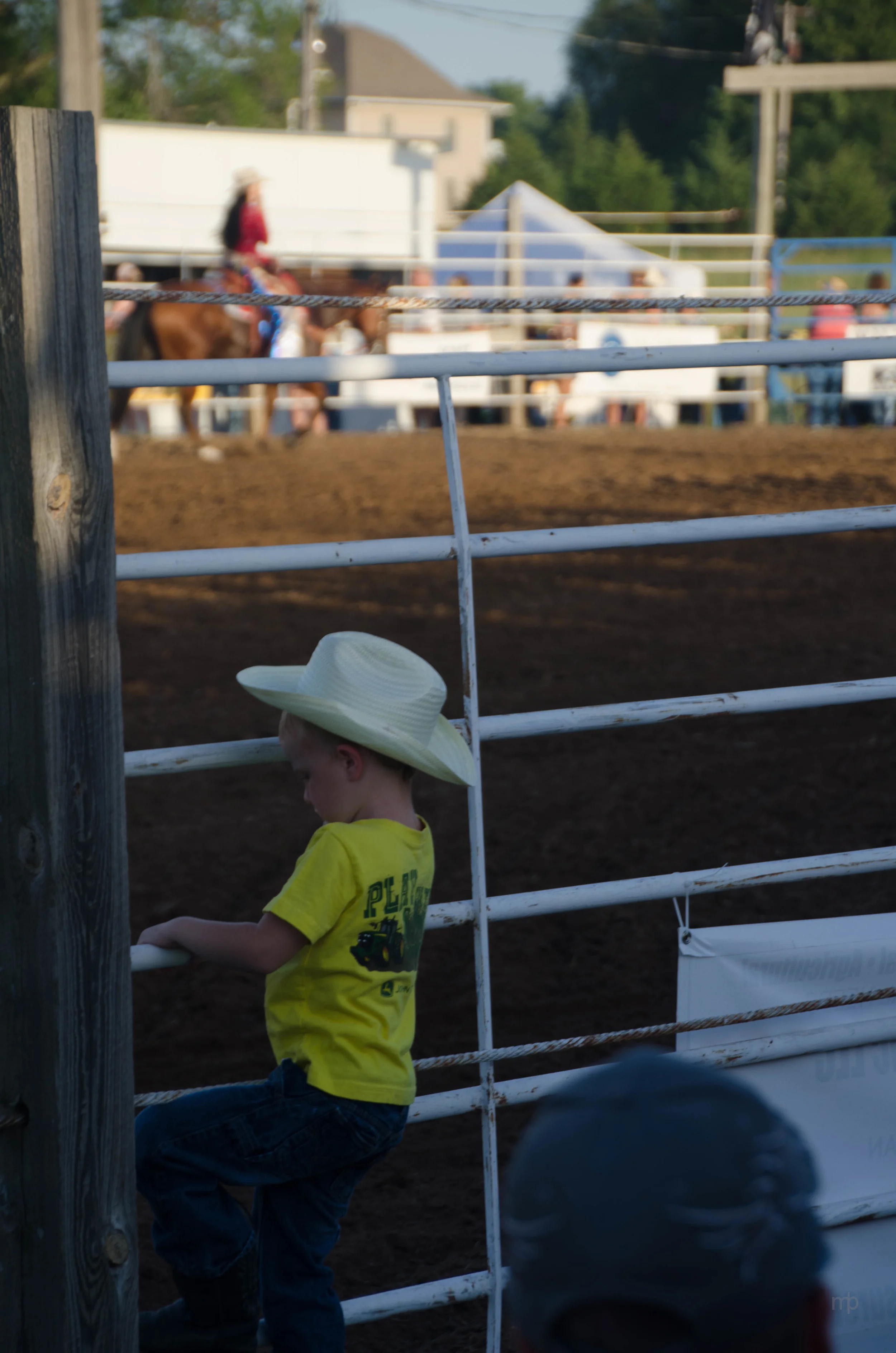 Fence Climbing. Longford Rodeo 2013.