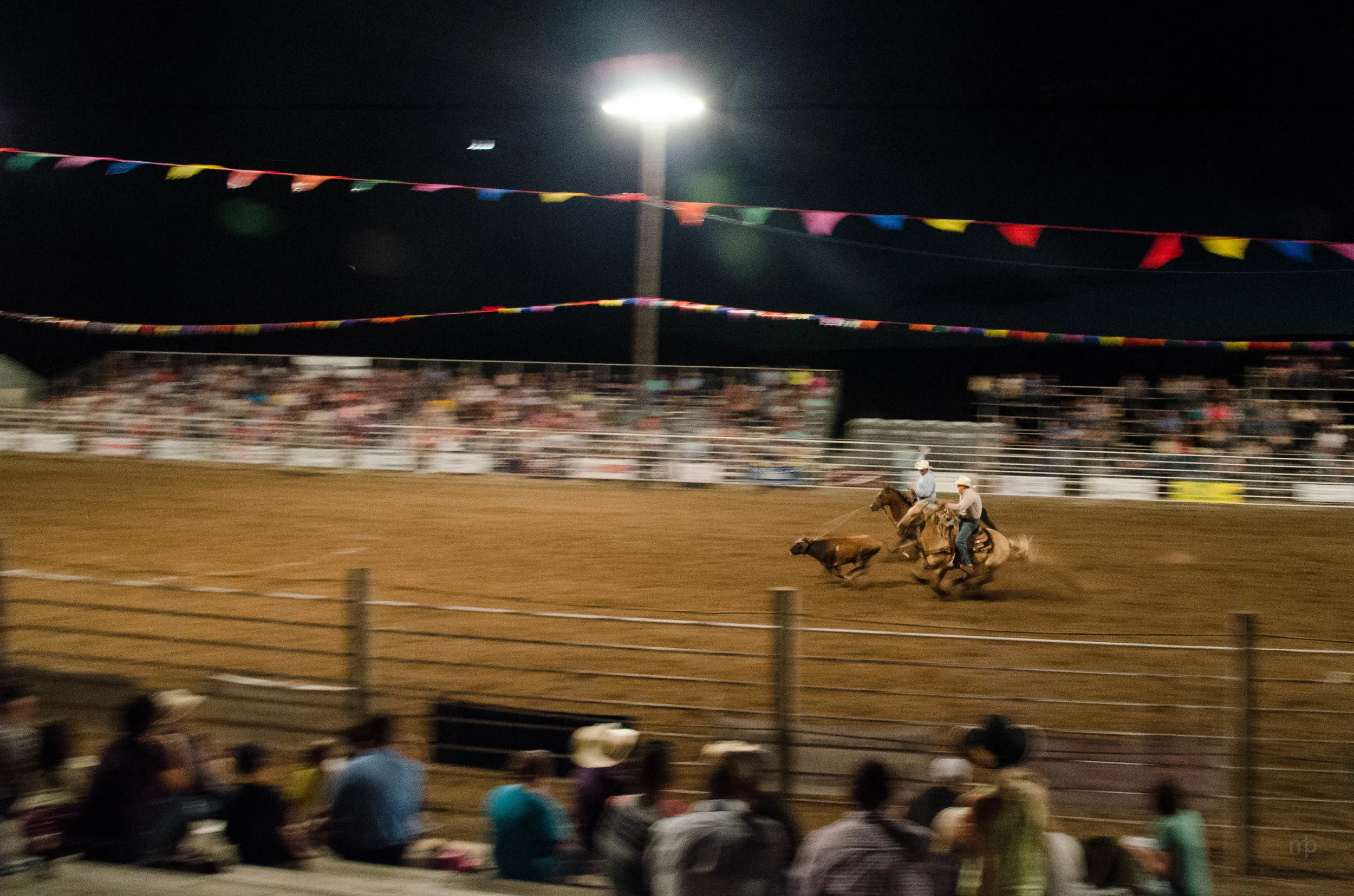 Team Roping. Longford Rodeo 2014