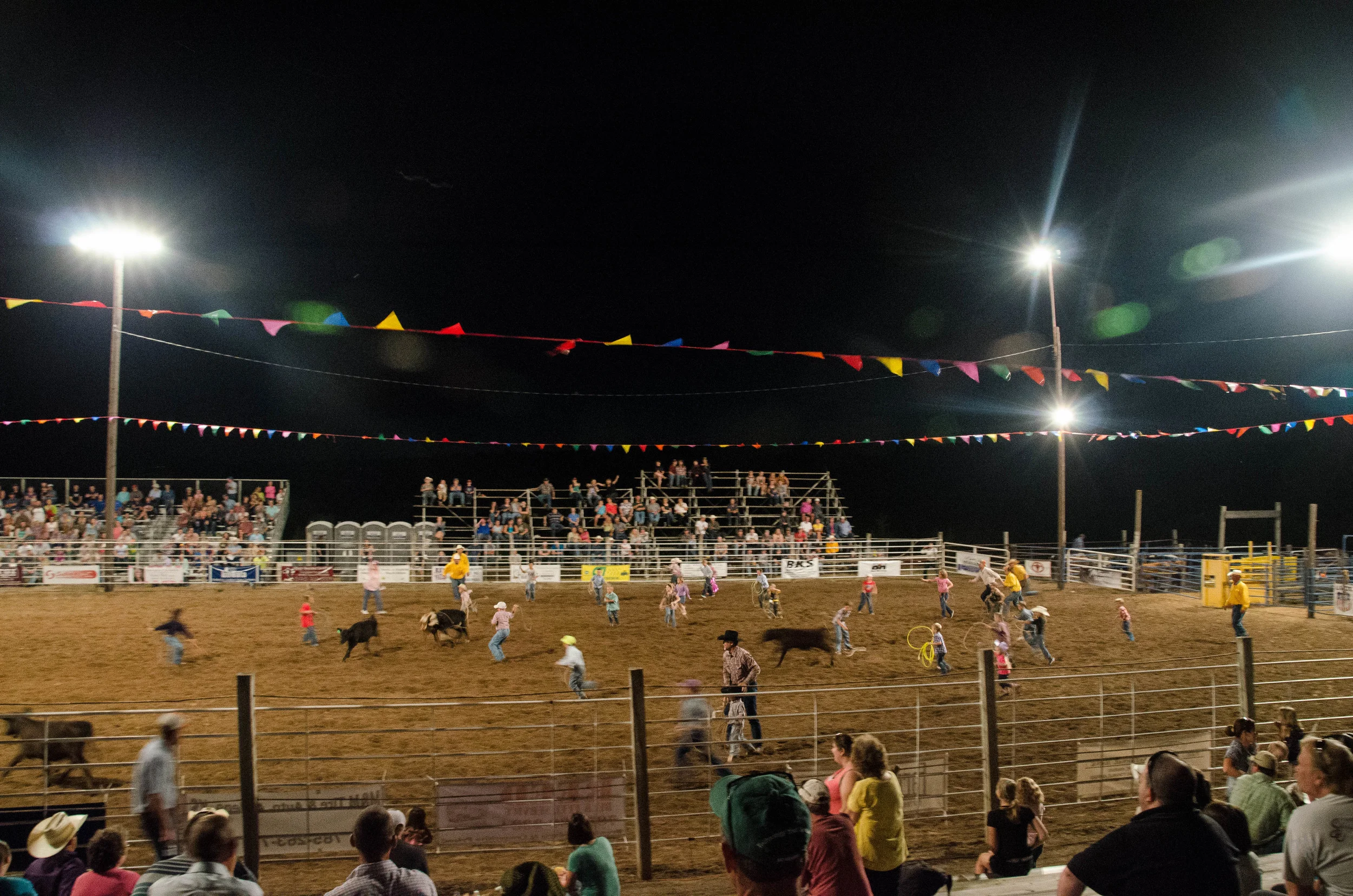 Calf Scramble with the Kids. Longford Rodeo 2014