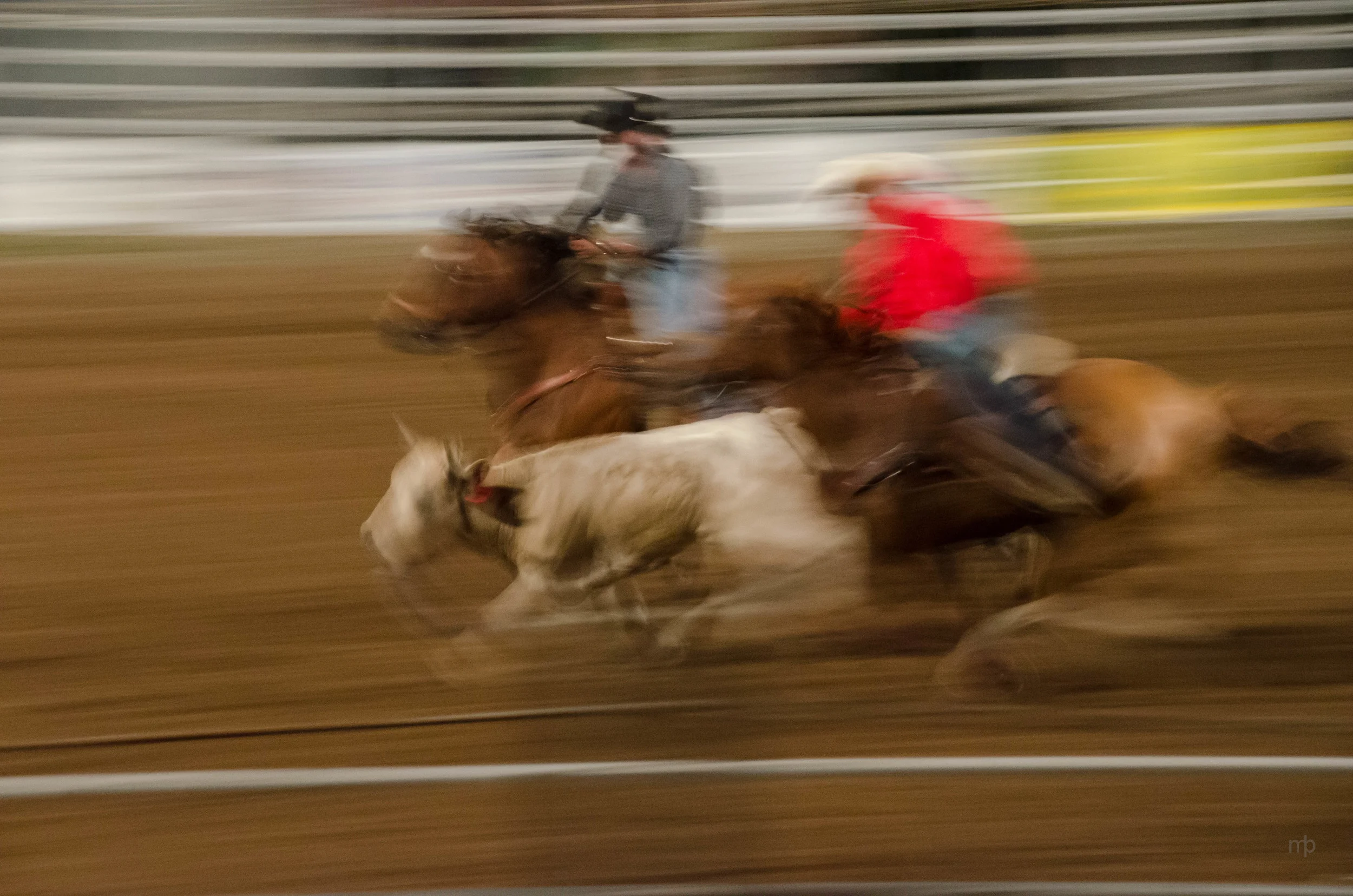 Riding to Wrestle. Longford Rodeo 2014. Nikon D7000, Tamron 18-270 mm, ISO 3200, 100 mm, f/8.0, 1/8 sec.
