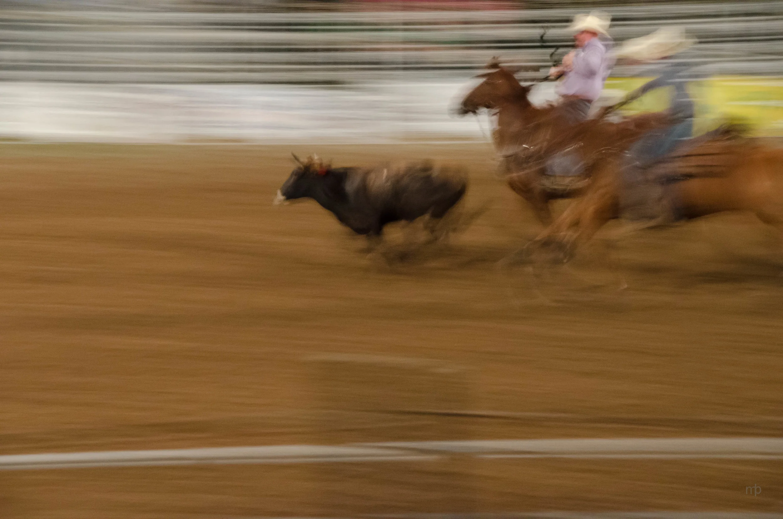 Riding to Wrestle. Longford Rodeo 2014. Nikon D7000, Tamron 18-270 mm, ISO 3200, 100 mm, f/8.0, 1/6 sec.
