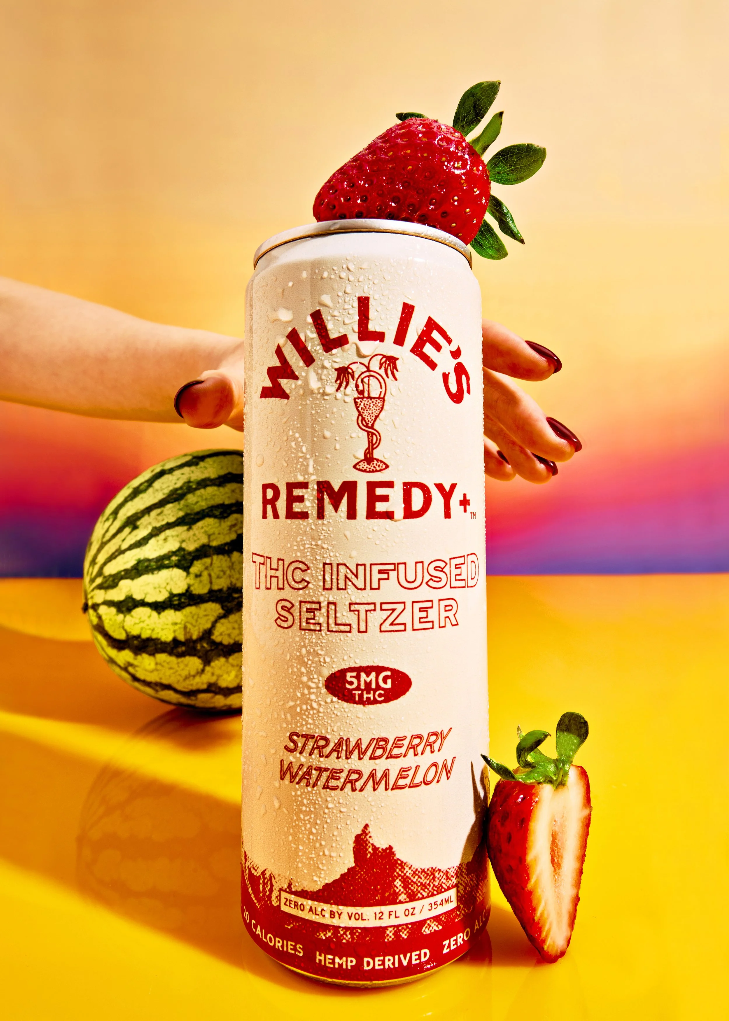 TDAVIS_WilliesRemedy_May410 copy.jpg