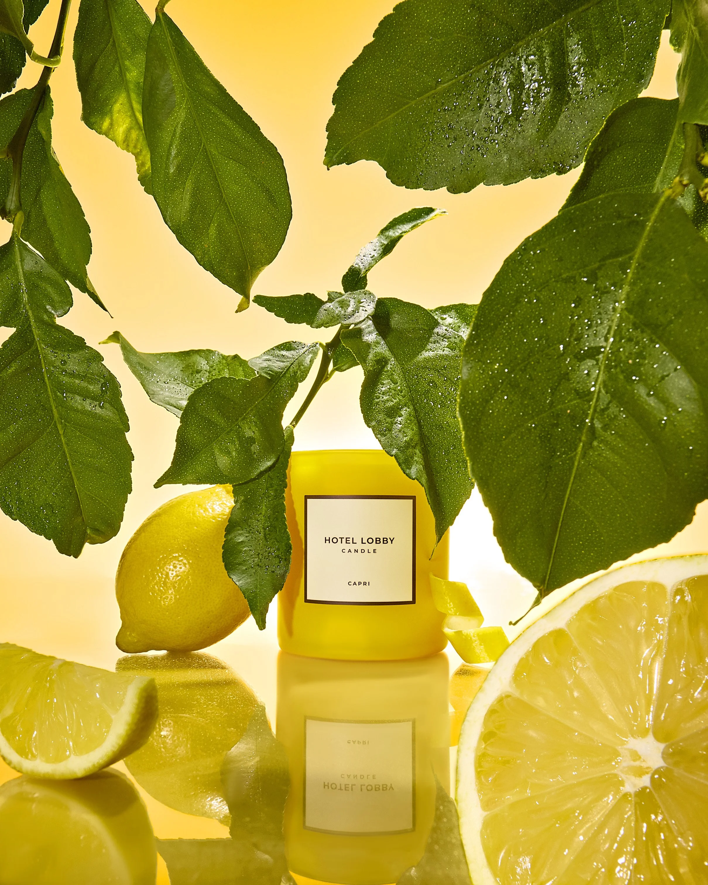 dana_test5352 copy 2_crop.jpg