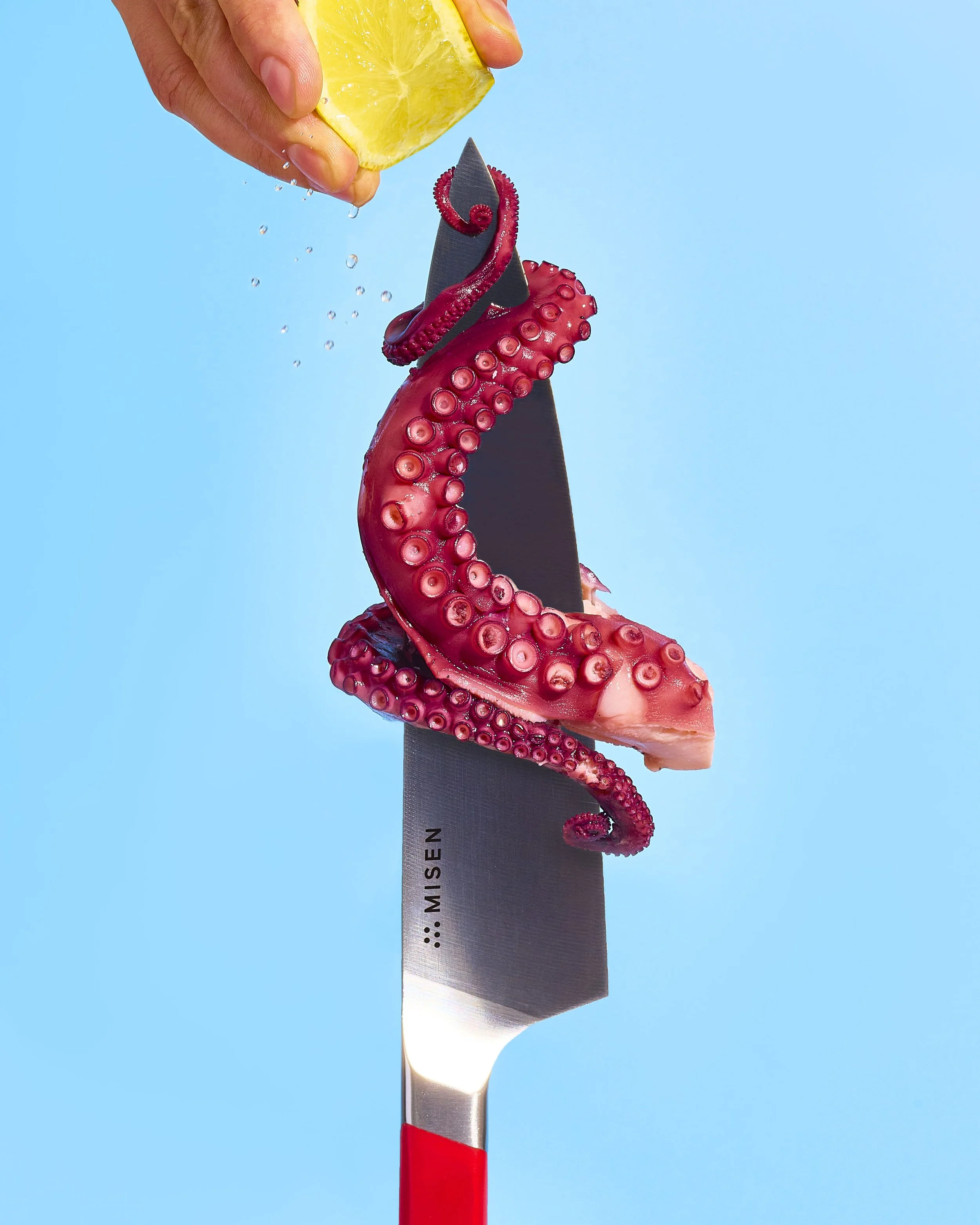 TDAVIS_Seafood_Test277 copy.jpg