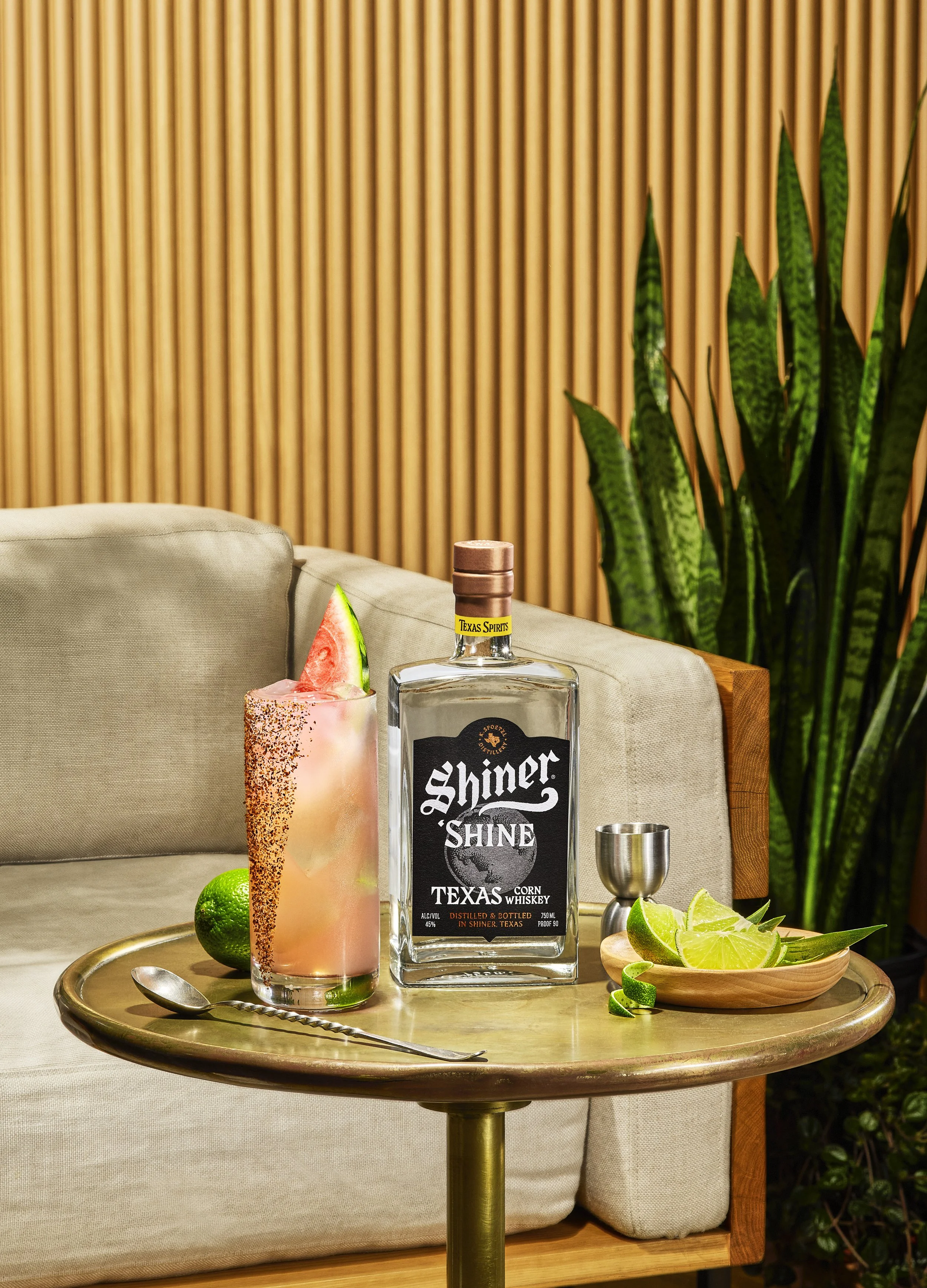 TDAVIS_SHINER_SUMMER_SHINE_0137_COCKTAIL-HERO_v01 copy.jpg