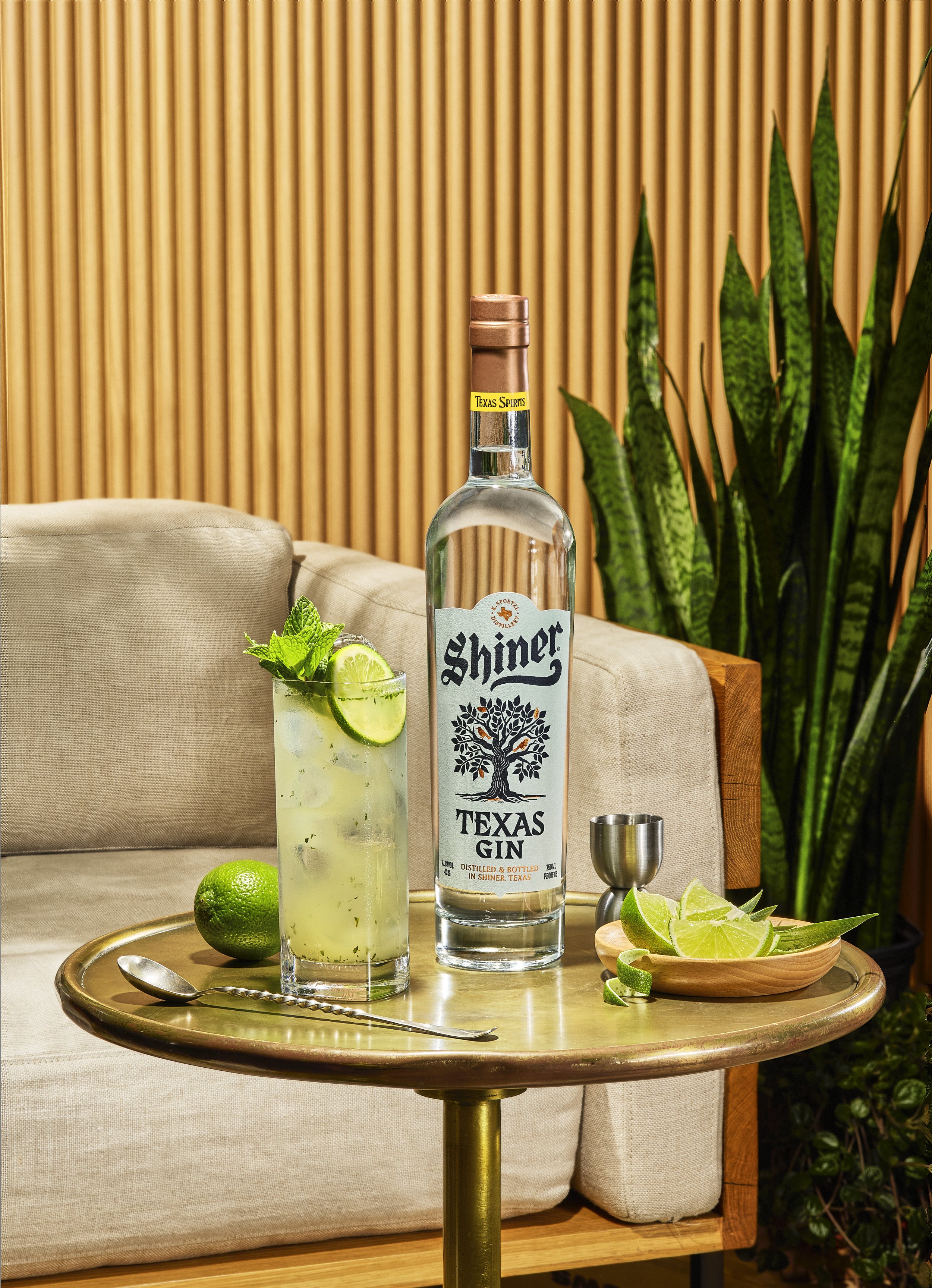 TDAVIS_SHINER_SUMMER_GIN_0119_HERO_v01f copy 2.jpg