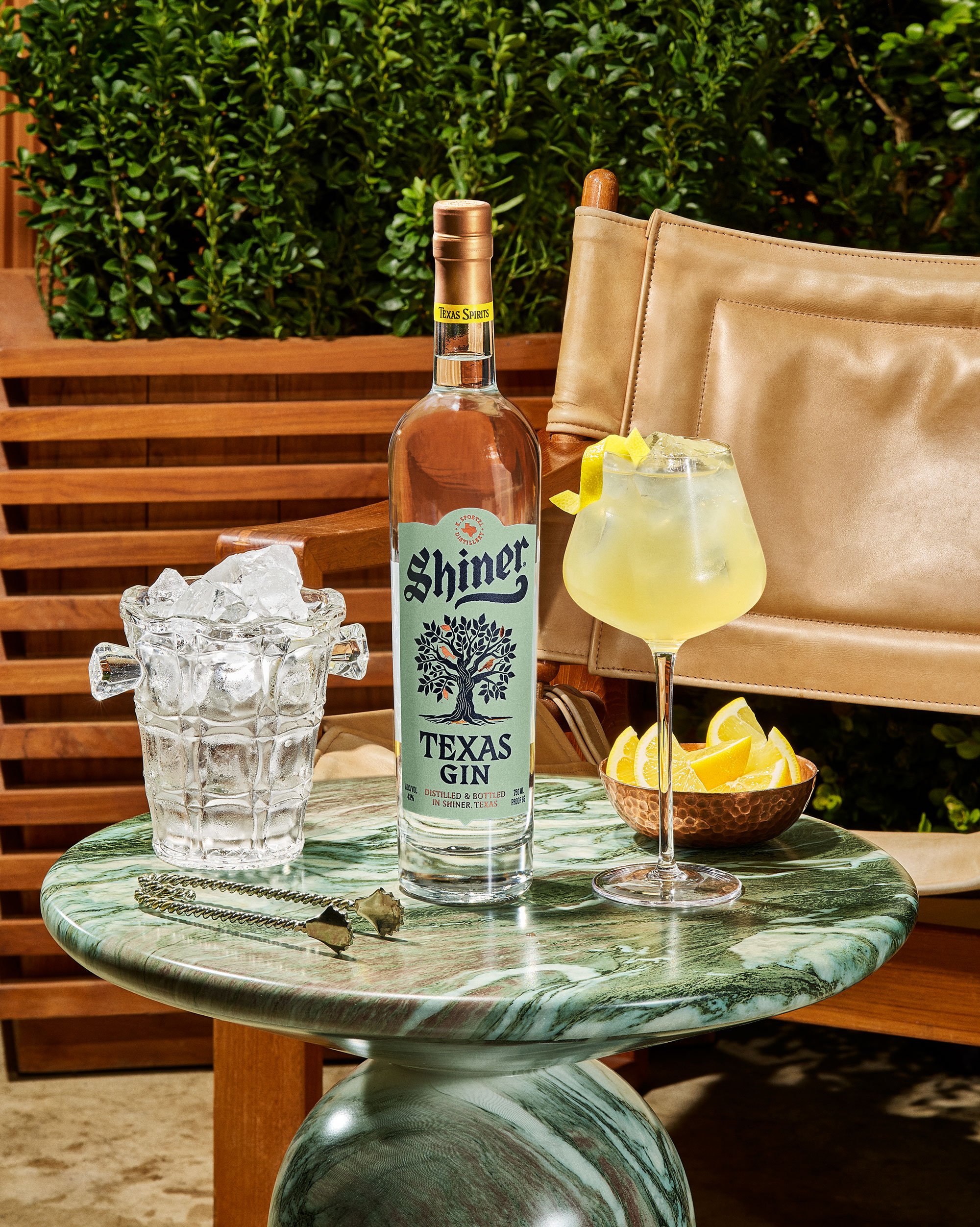 TDAVIS_SHINER_SPRING_GIN_0255_cocktail-hero-v2.jpg