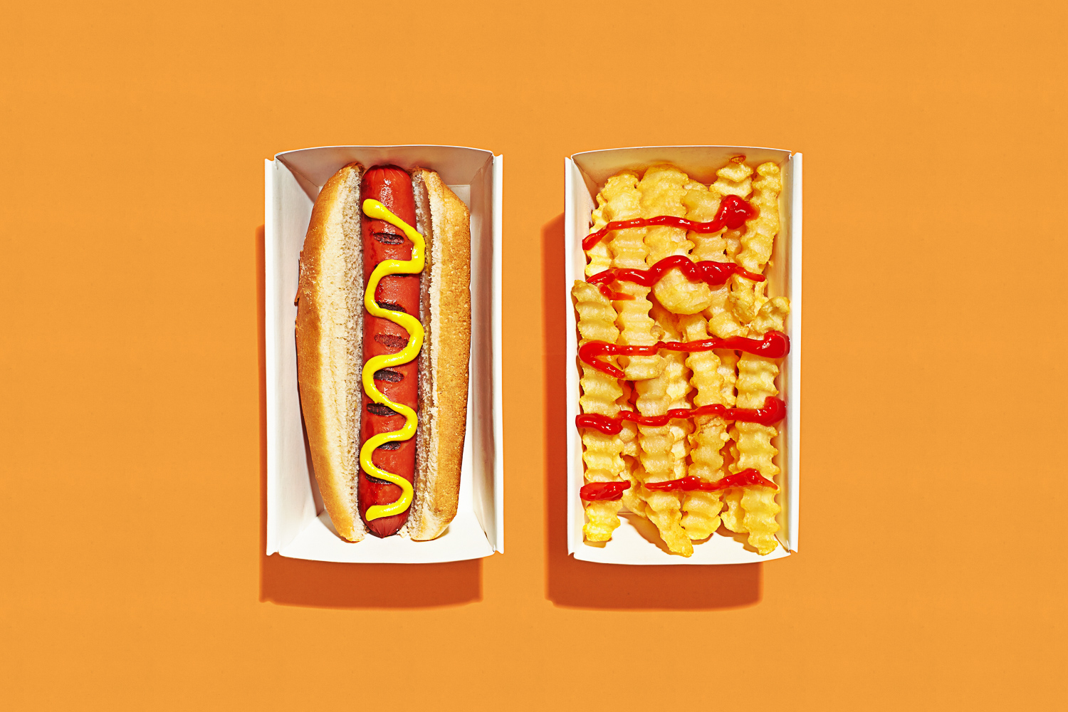 hot dog and french fries