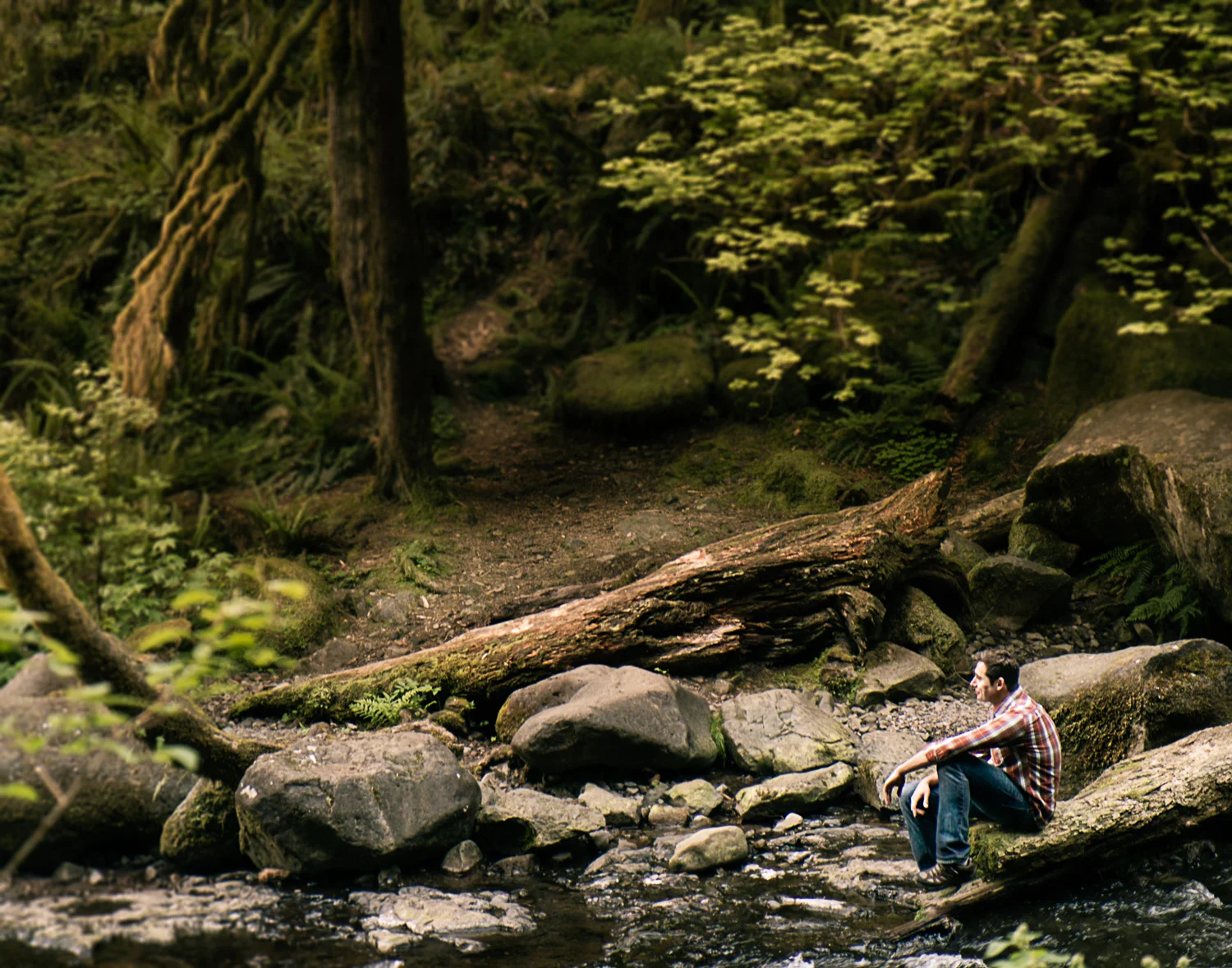 man pondering life in the woods