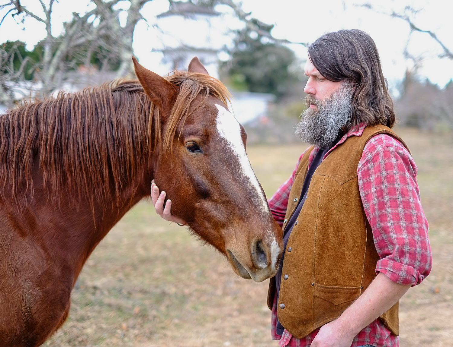 bearded man with a horse