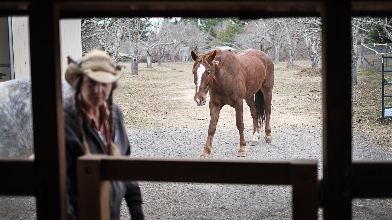 woman with a horse