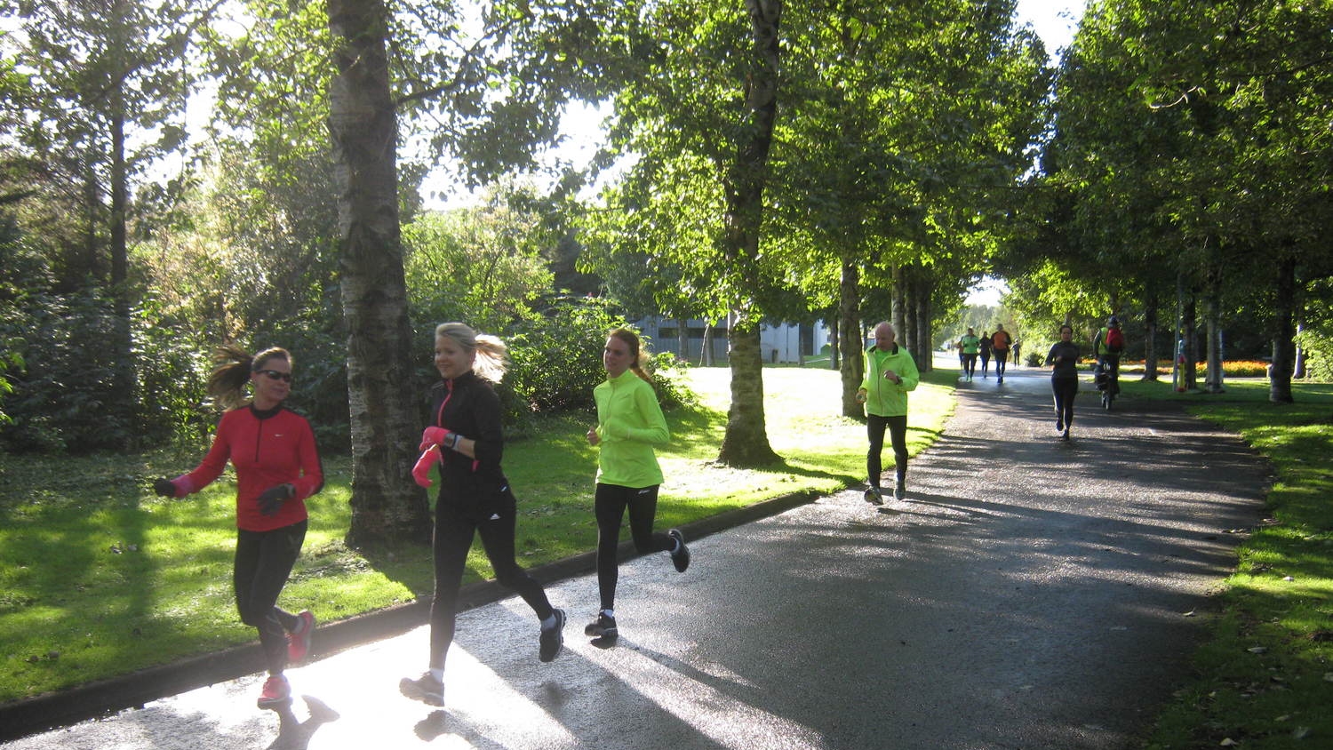 Running on a track among trees and the sun