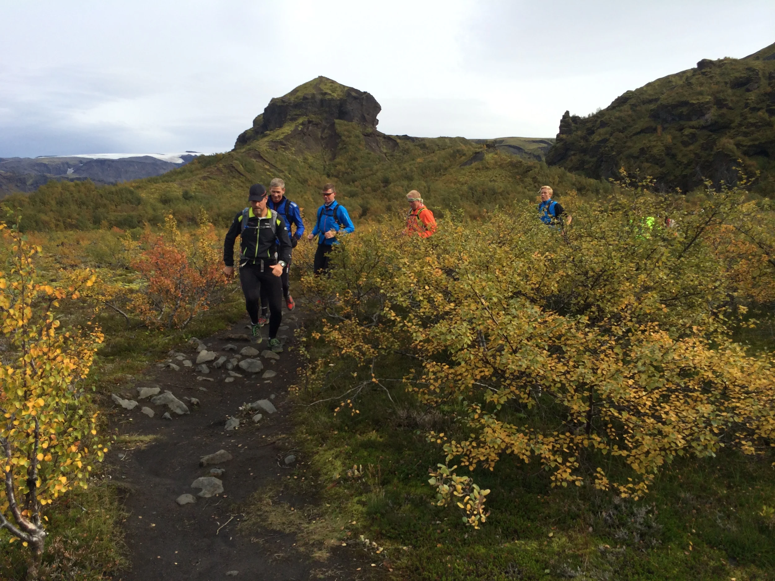 Running on a trail through birch shrubbery