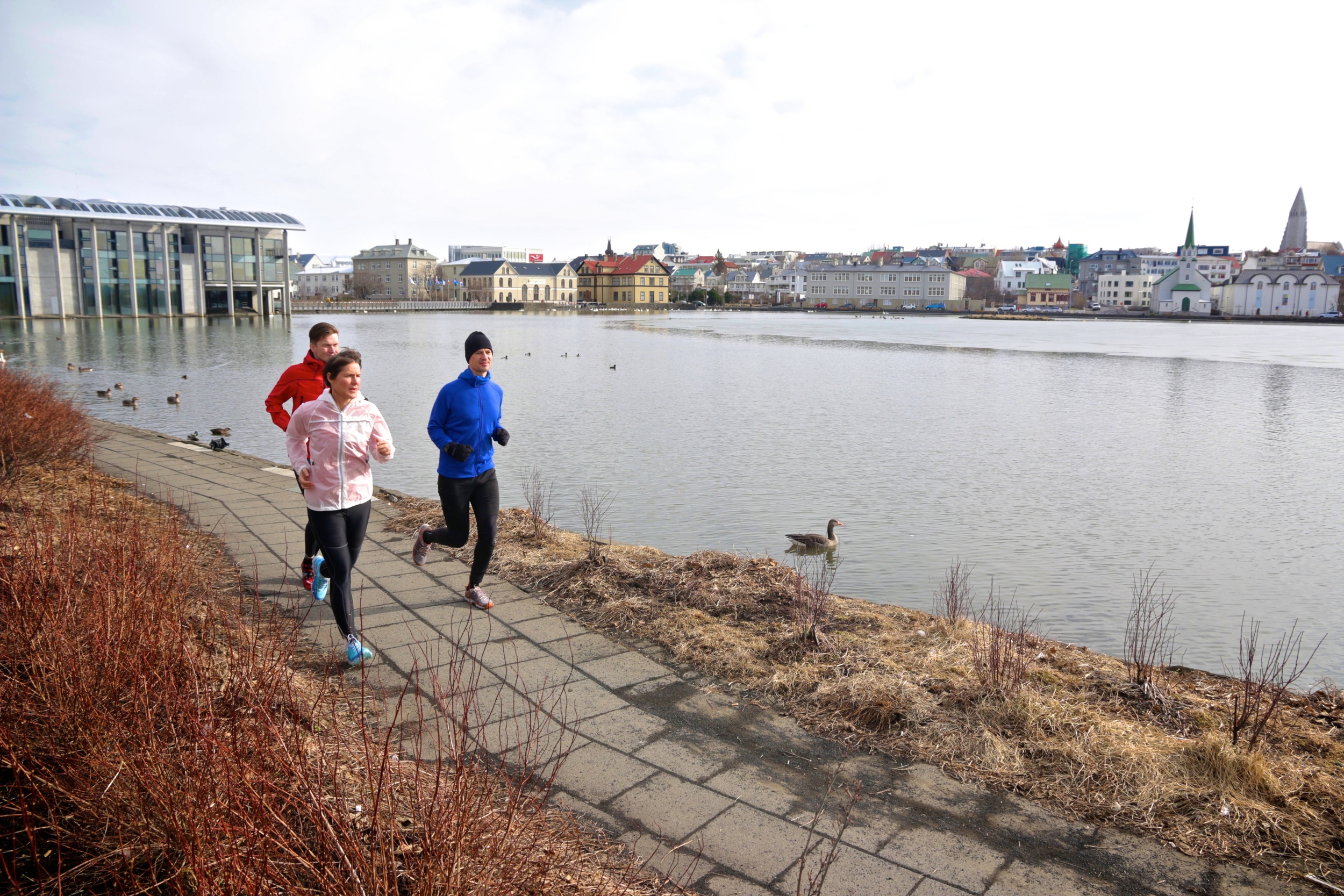 Running along Reykjavik pond