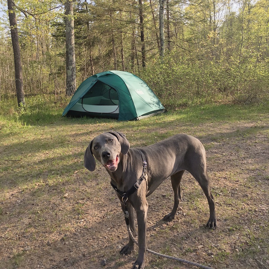 Took Jax camping