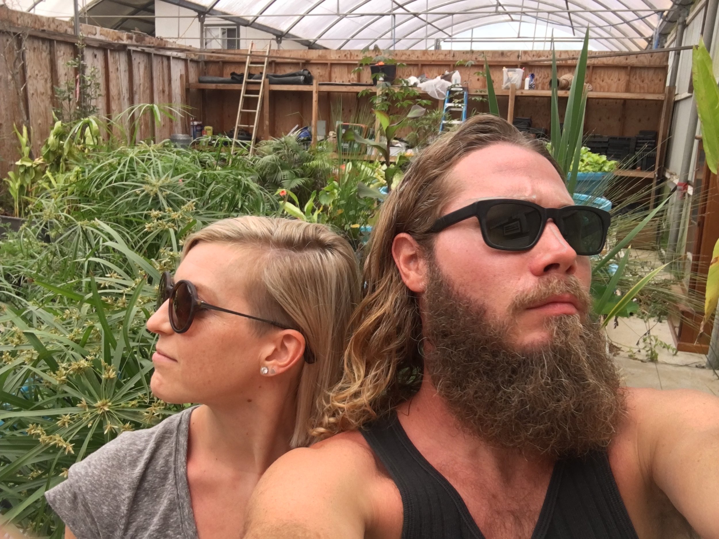 Went to Hawaii to visit a friend