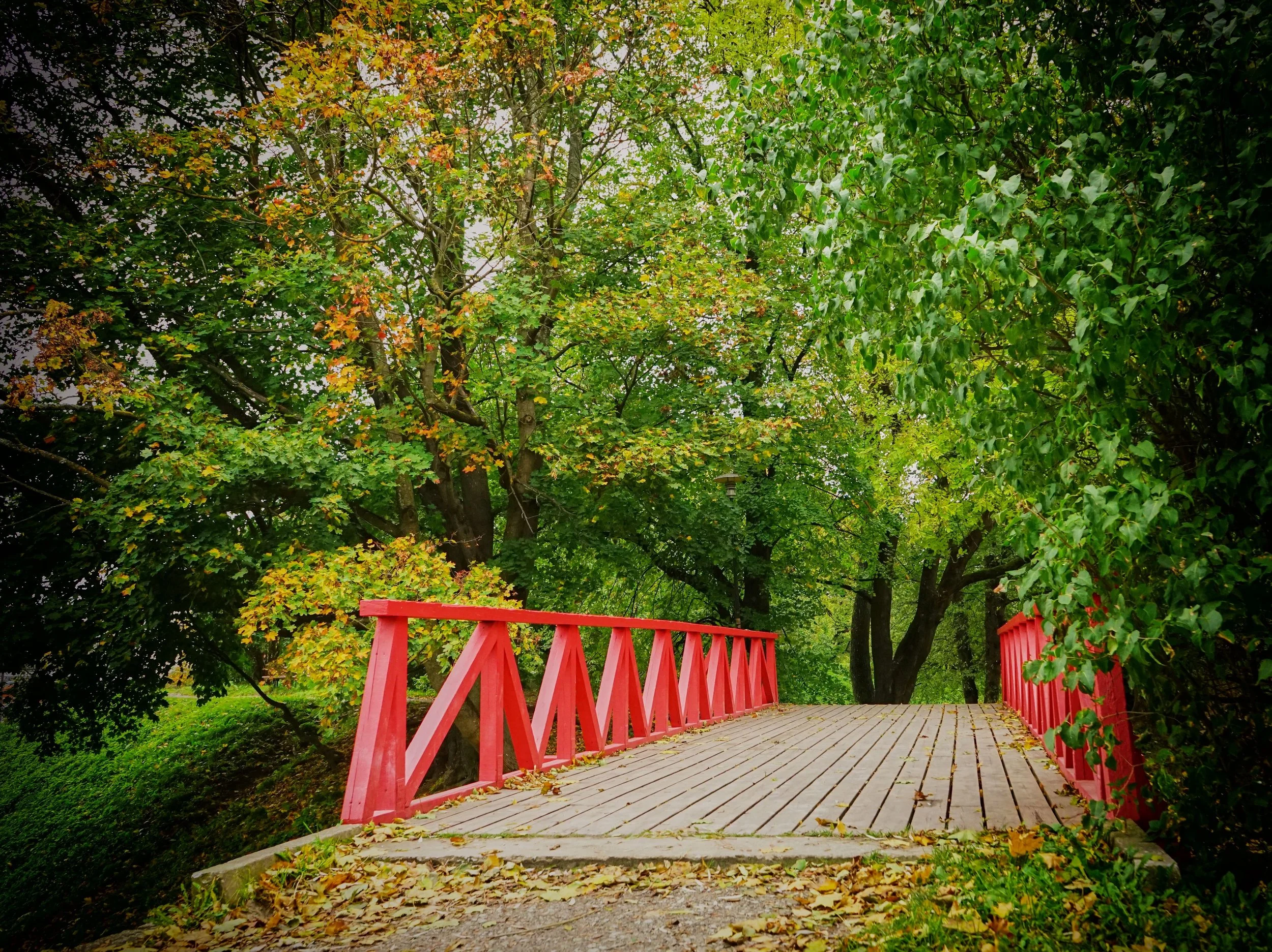 red bridge.jpg