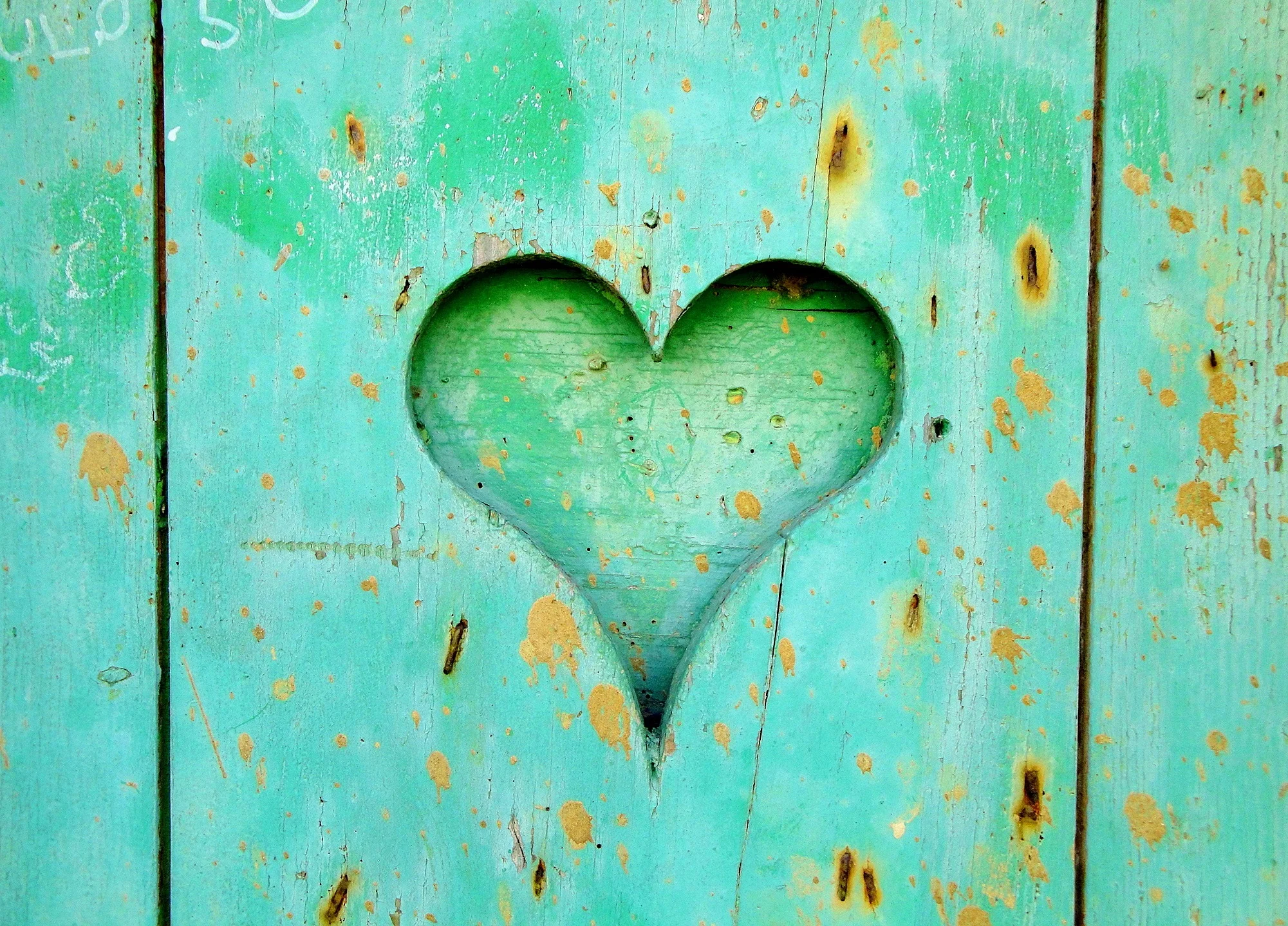 heart.jpg