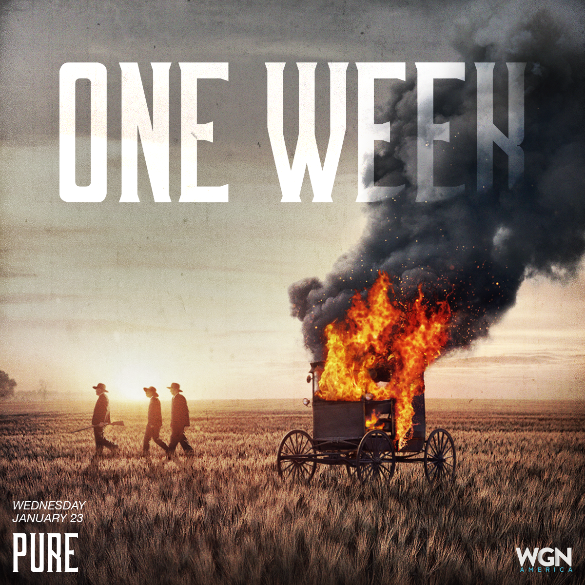 WGN_PURE_Countdown_OneWeek_Field_01_MB.png