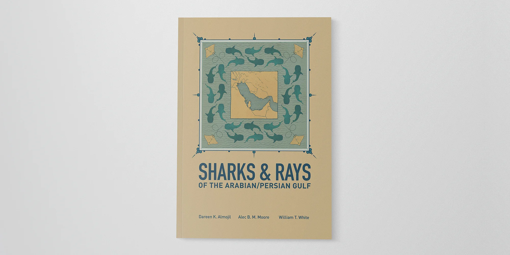 SHARKS & RAYS