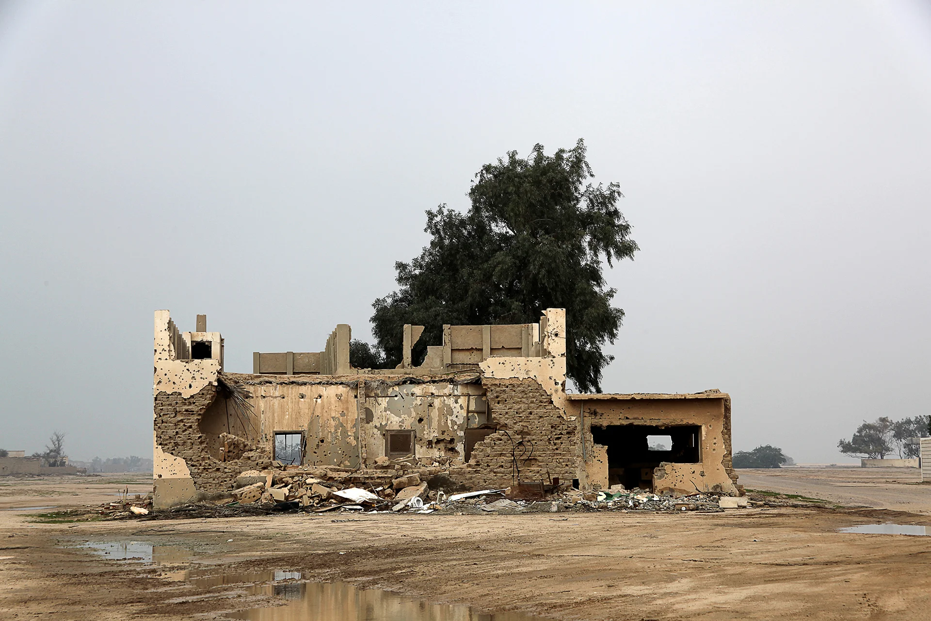 IMG_9436 - Edited.jpg