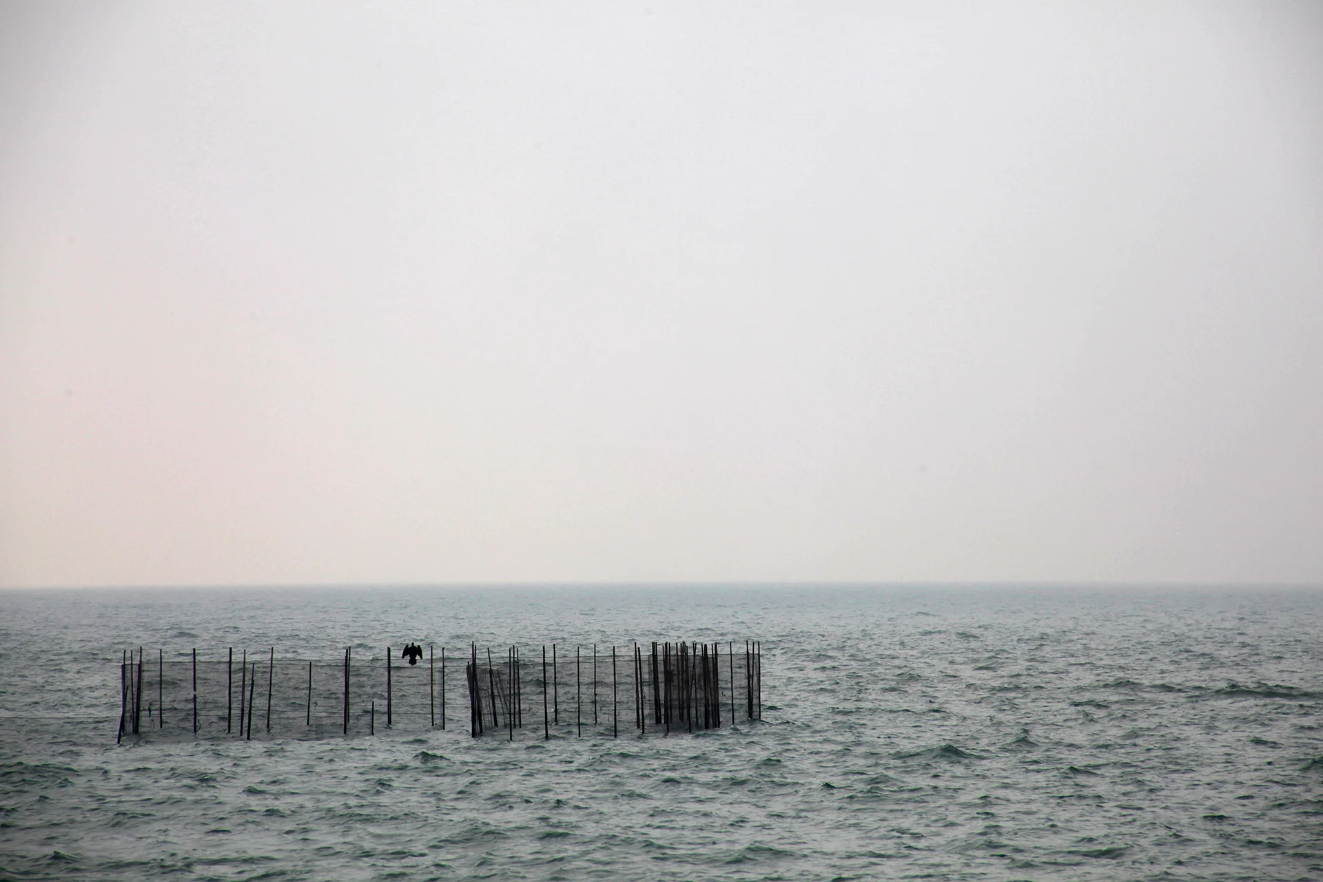 IMG_9481 - Edited.jpg