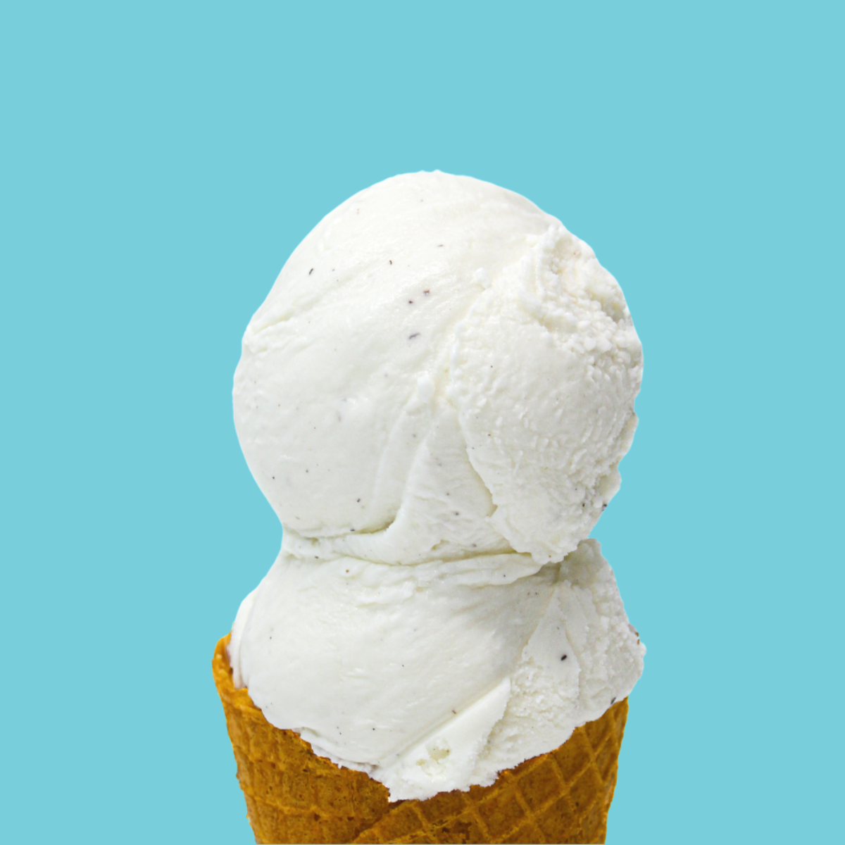 Double Vanilla Ice Cream