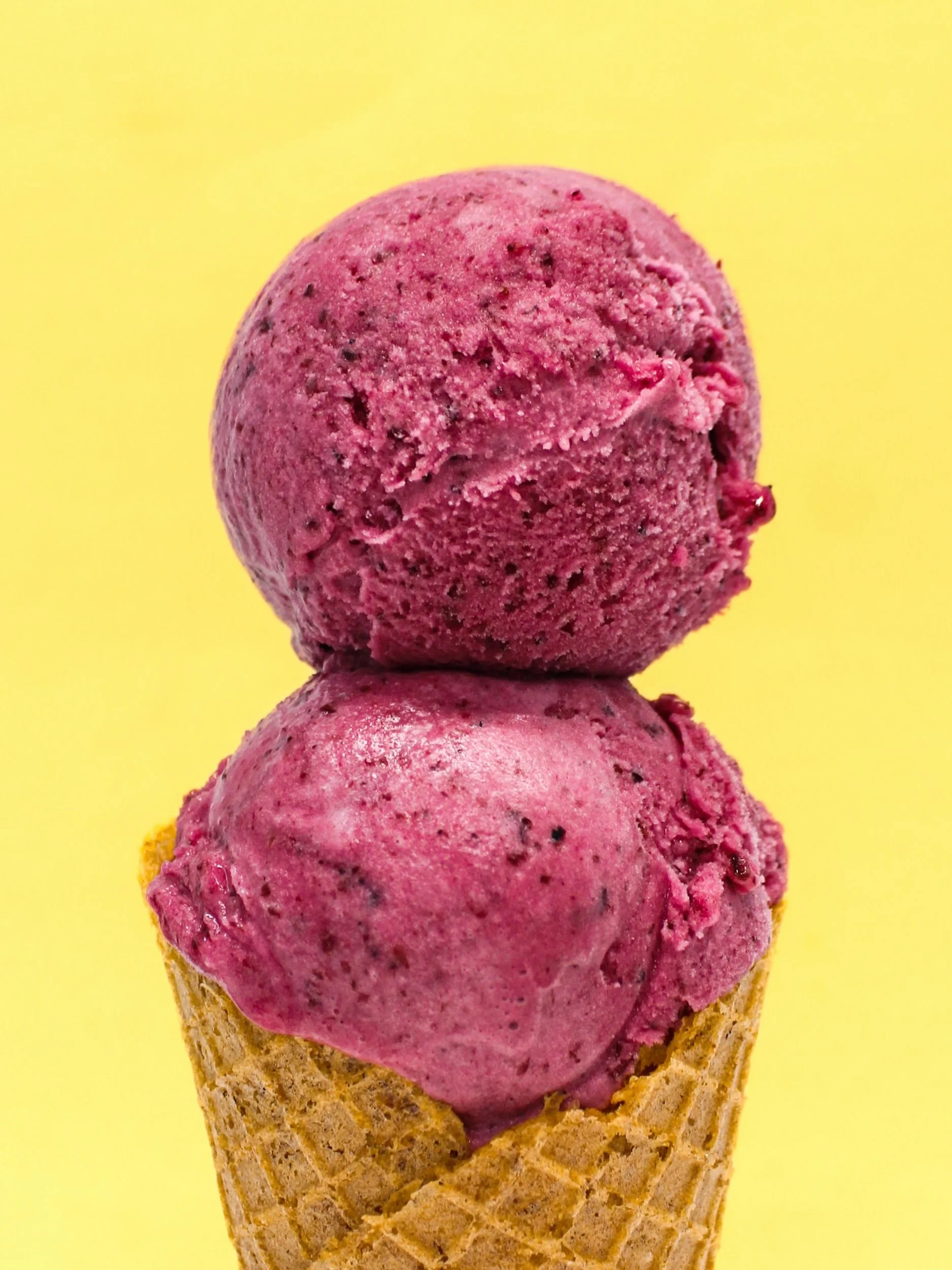 Blueberry Lemon Sorbet  Ⓥ