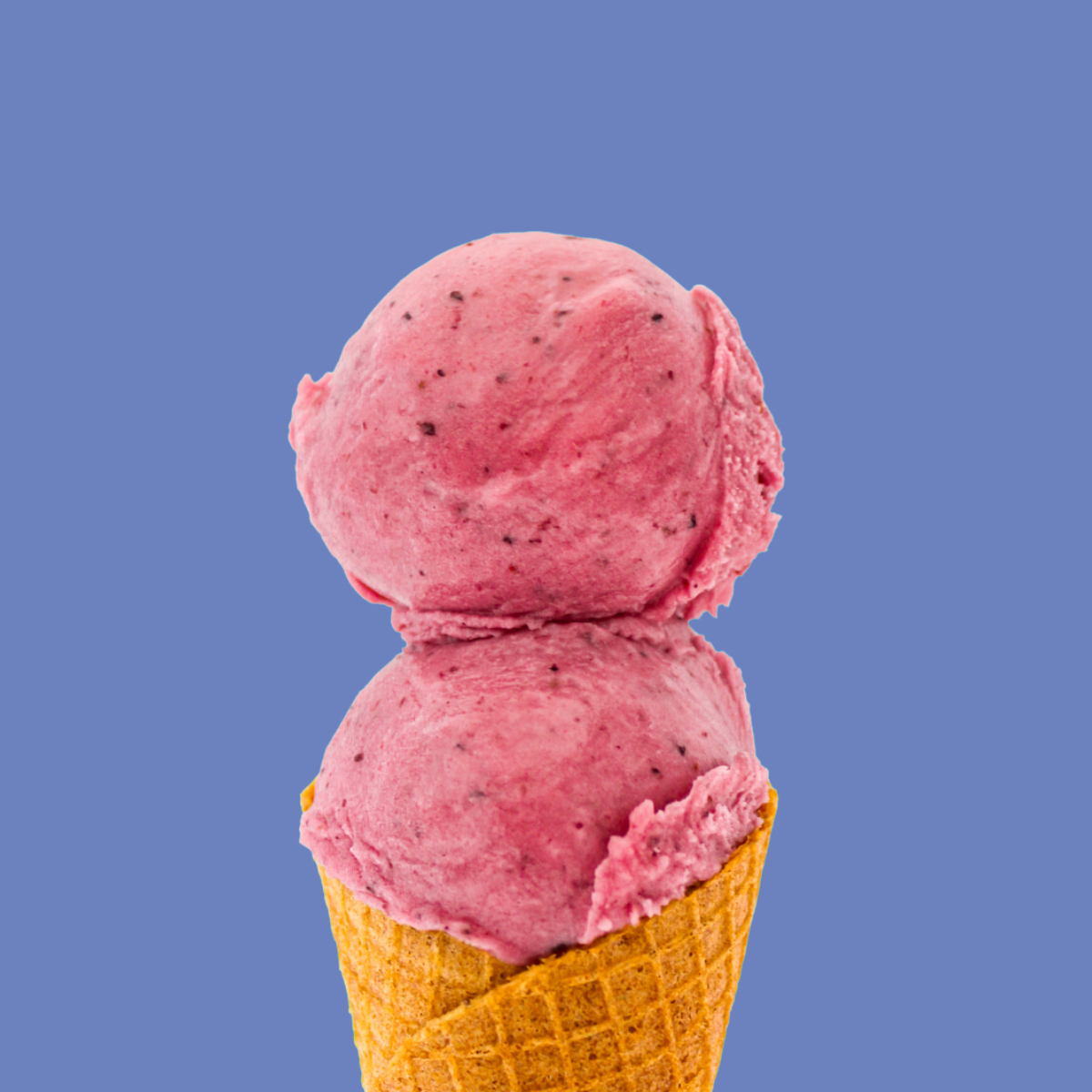 Very Berry Sorbet 