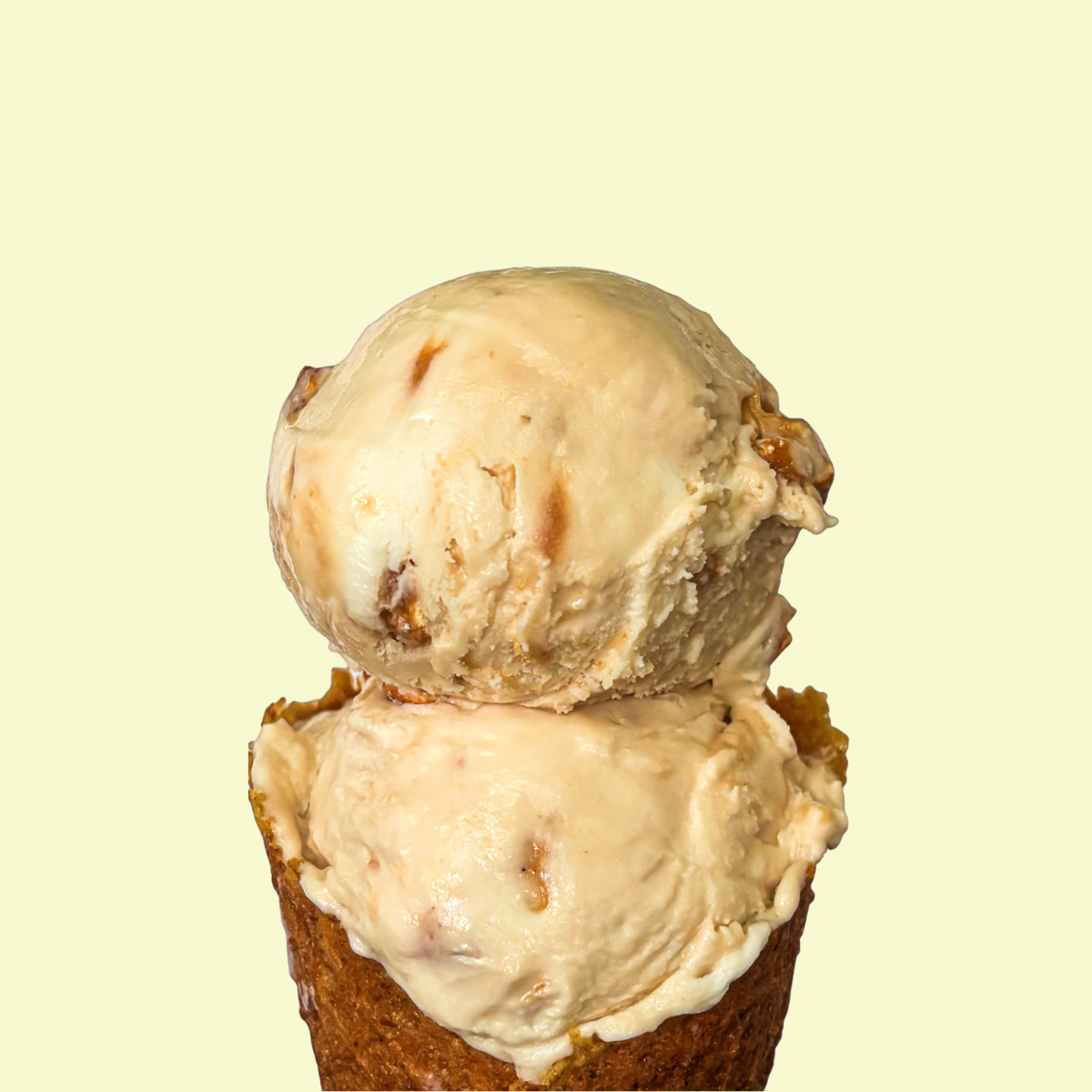 Salted Caramel Cashew Ice Cream